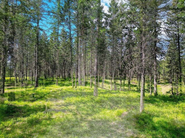 119 Belterra Ln, Bigfork, MT 59911