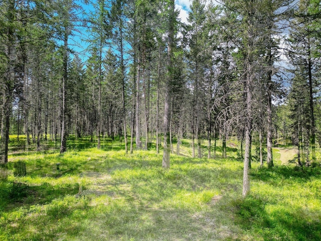 119 Belterra Ln, Bigfork, MT 59911
