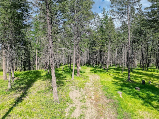 119 Belterra Ln, Bigfork, MT 59911