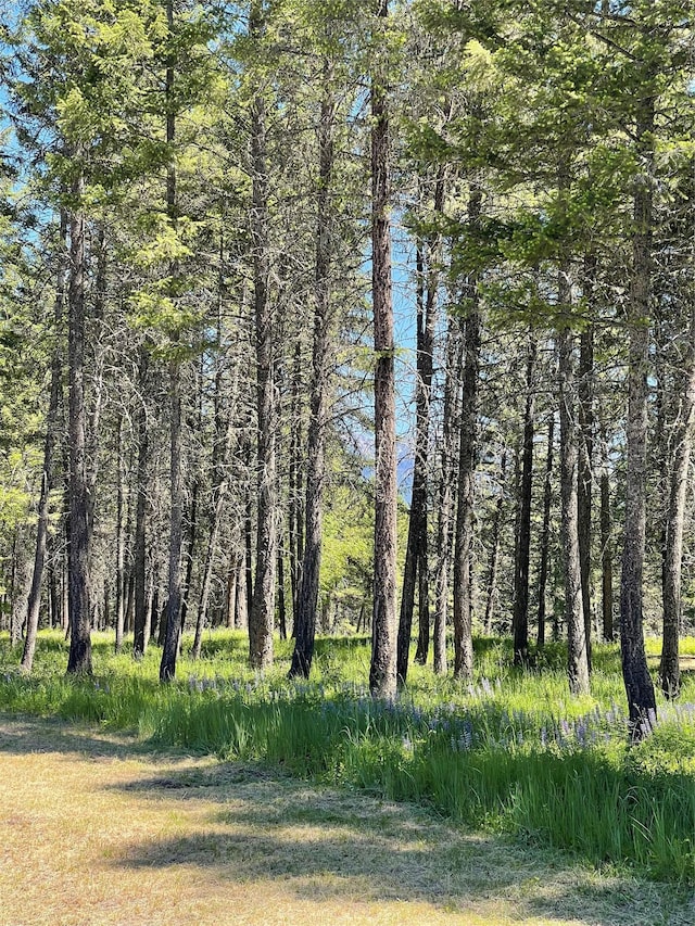 119 Belterra Ln, Bigfork, MT 59911
