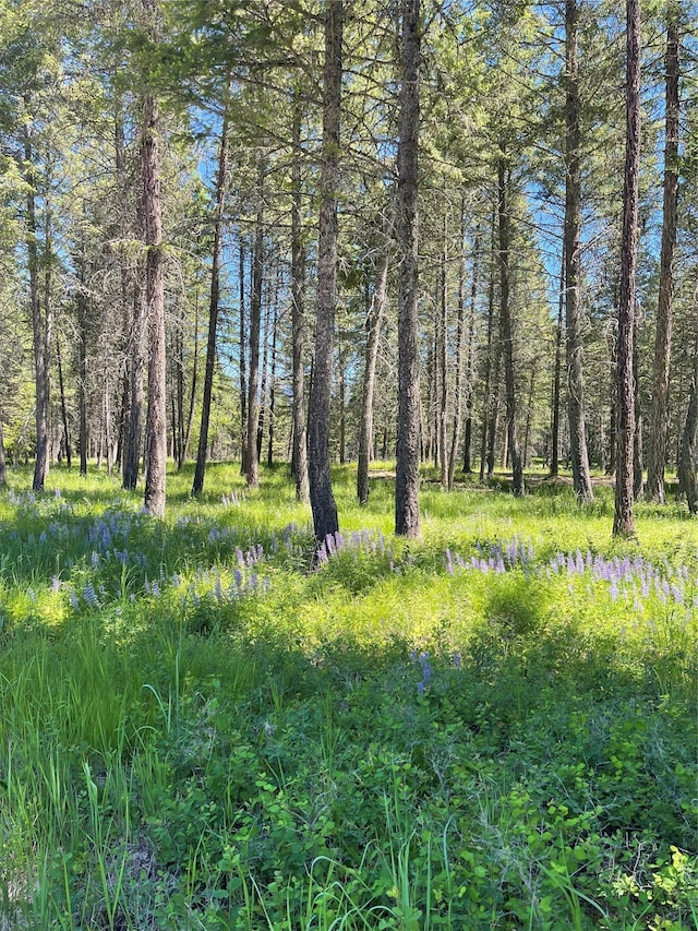 119 Belterra Ln, Bigfork, MT 59911