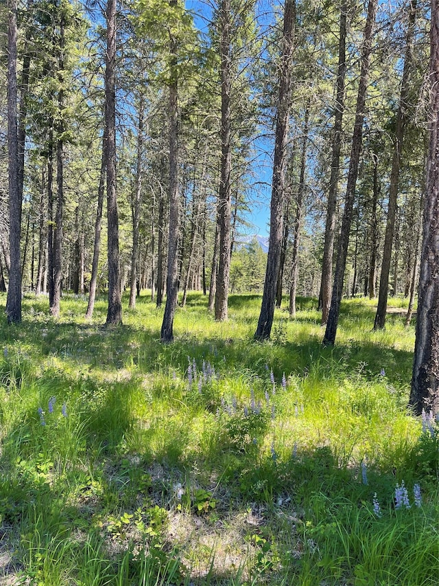119 Belterra Ln, Bigfork, MT 59911