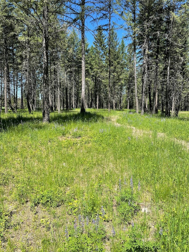 119 Belterra Ln, Bigfork, MT 59911