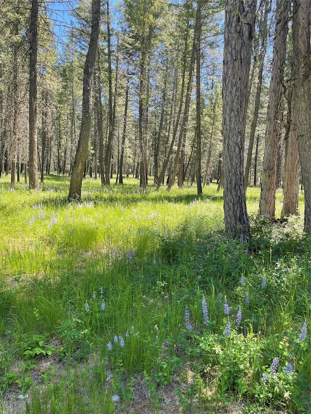 119 Belterra Ln, Bigfork, MT 59911