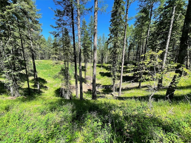 119 Belterra Ln, Bigfork, MT 59911