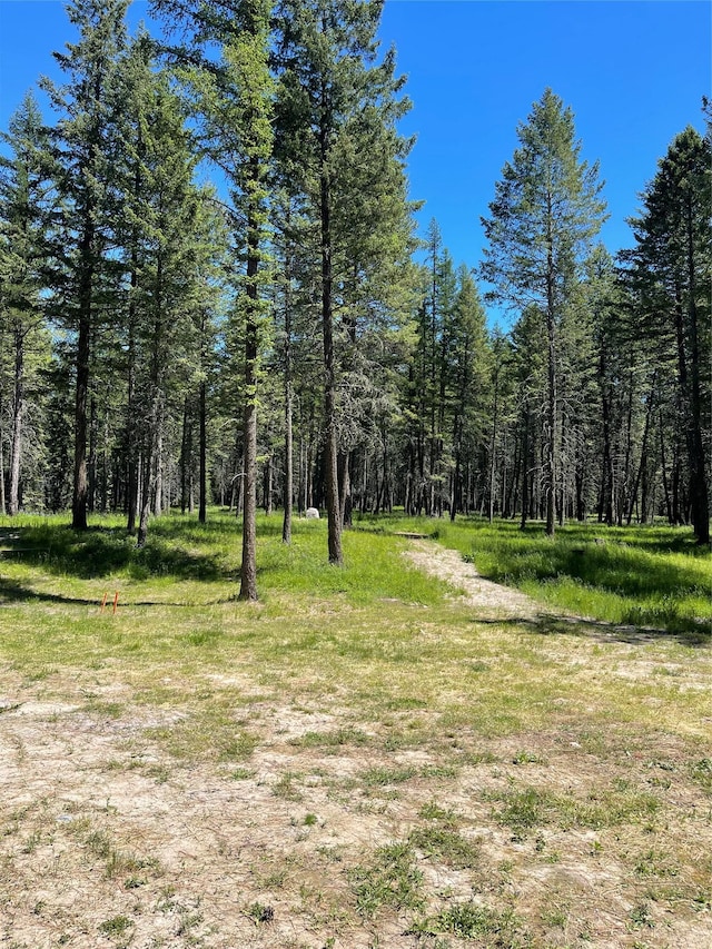 119 Belterra Ln, Bigfork, MT 59911