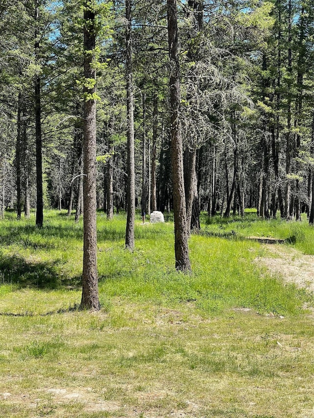 119 Belterra Ln, Bigfork, MT 59911