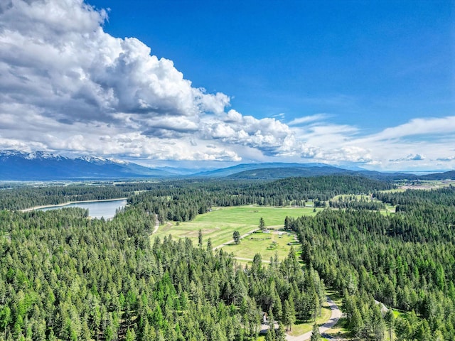 119 Belterra Ln, Bigfork, MT 59911