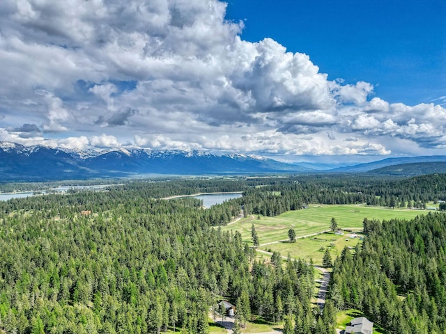 119 Belterra Ln, Bigfork, MT 59911