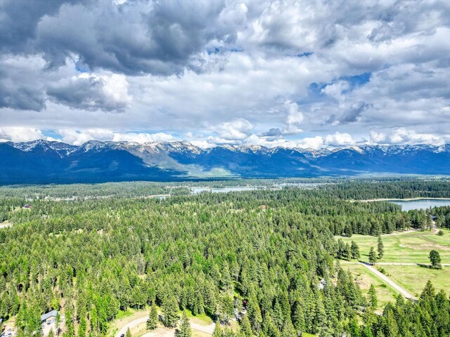 119 Belterra Ln, Bigfork, MT 59911
