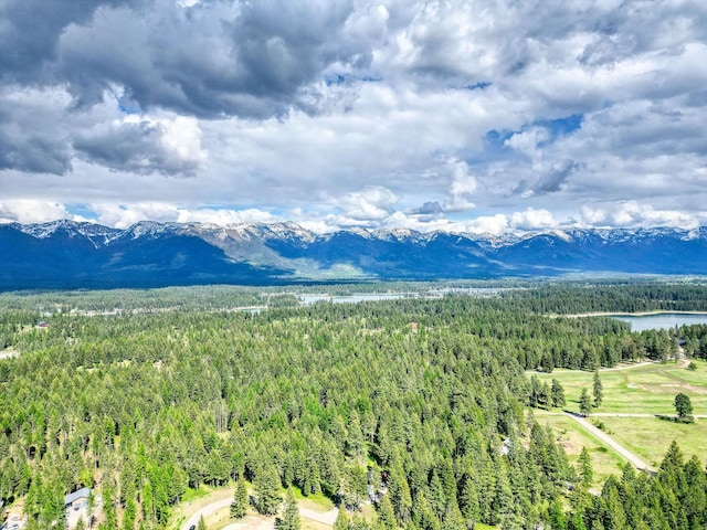 119 Belterra Ln, Bigfork, MT 59911