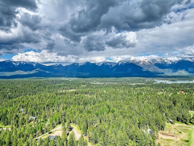 119 Belterra Ln, Bigfork, MT 59911