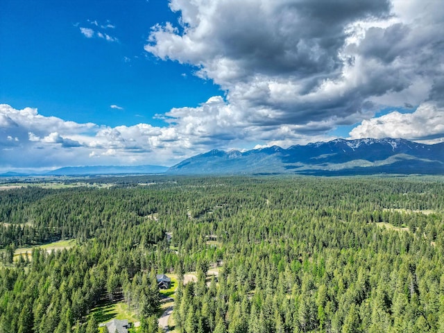 119 Belterra Ln, Bigfork, MT 59911