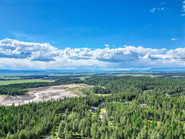 119 Belterra Ln, Bigfork, MT 59911