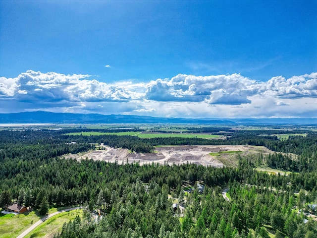 119 Belterra Ln, Bigfork, MT 59911