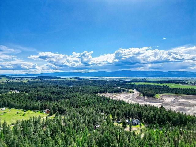 119 Belterra Ln, Bigfork, MT 59911