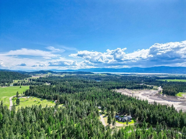 119 Belterra Ln, Bigfork, MT 59911