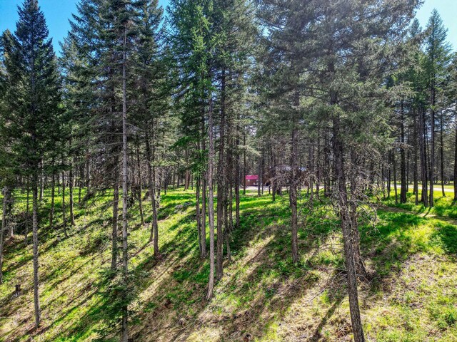 119 Belterra Ln, Bigfork, MT 59911