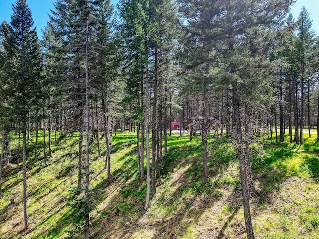 119 Belterra Ln, Bigfork, MT 59911