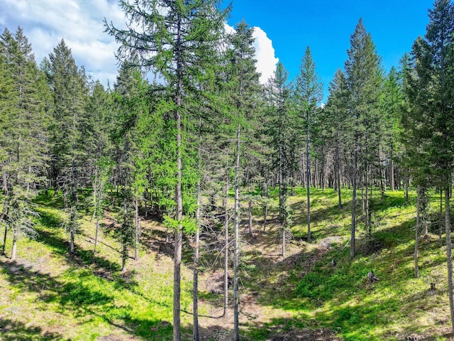 119 Belterra Ln, Bigfork, MT 59911