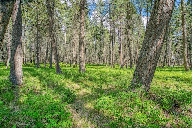119 Belterra Ln, Bigfork, MT 59911