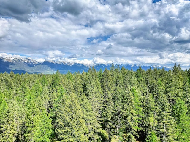 119 Belterra Ln, Bigfork, MT 59911