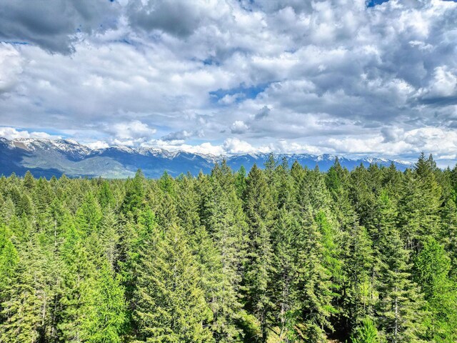 119 Belterra Ln, Bigfork, MT 59911