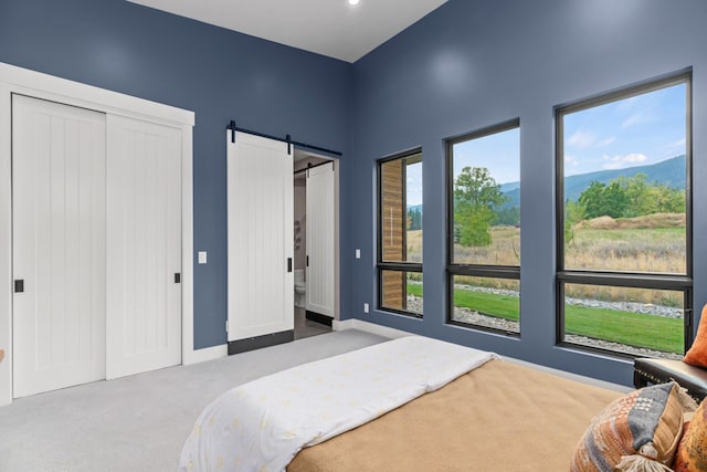 carpeted bedroom featuring a barn door