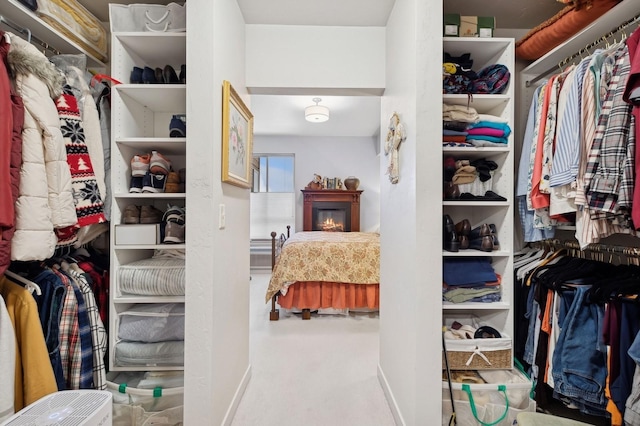 spacious closet featuring carpet flooring