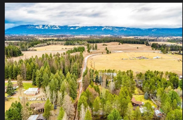 bird's eye view featuring a mountain view