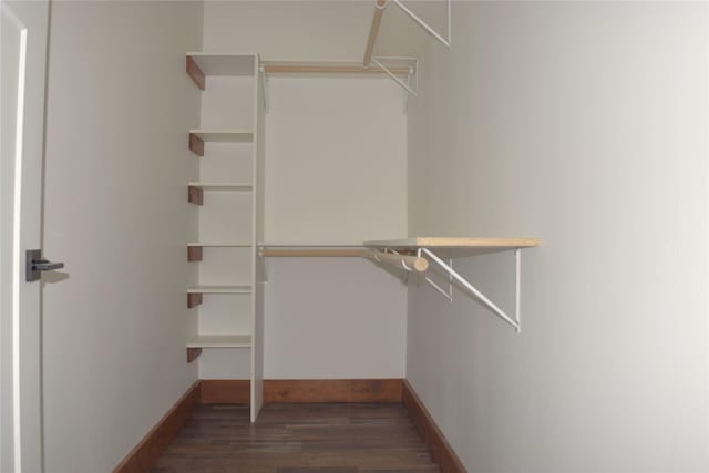 spacious closet featuring dark wood-type flooring