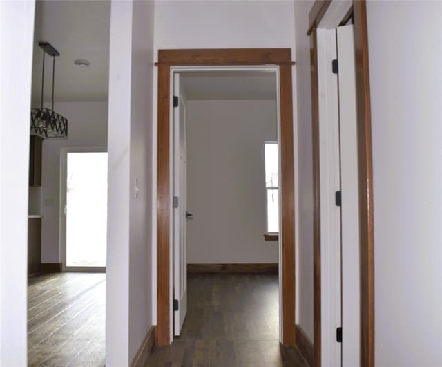 hall with dark wood-type flooring, a wealth of natural light, and a notable chandelier