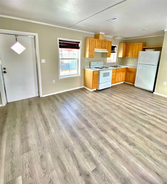 kitchen with light hardwood / wood-style floors, sink, crown molding, white appliances, and a textured ceiling