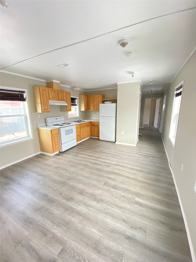 kitchen featuring a healthy amount of sunlight, ornamental molding, sink, and white appliances