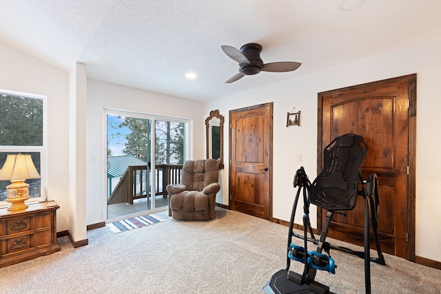 workout room featuring ceiling fan, a textured ceiling, and carpet flooring