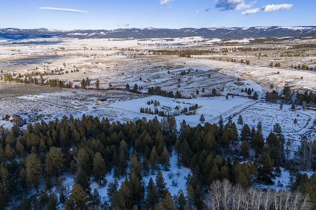 snowy aerial view featuring a mountain view