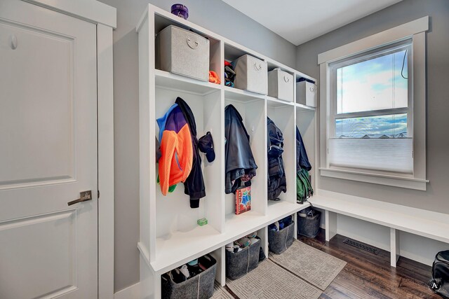 mudroom featuring dark hardwood / wood-style floors