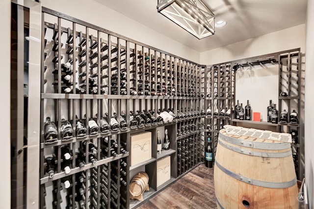 wine room featuring wood-type flooring