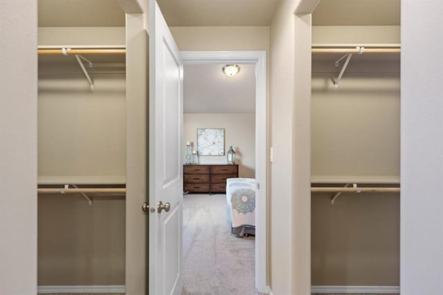 walk in closet featuring carpet