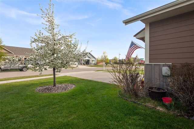 115 Stryker Peak Trl, Kalispell, MT 59901 - view of green lawn with a residential view