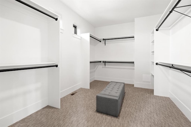 spacious closet featuring light colored carpet