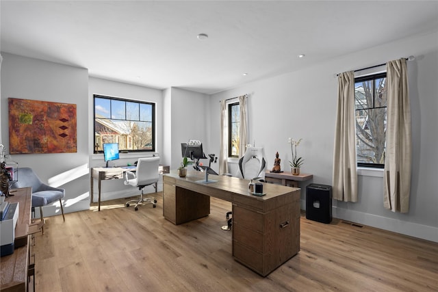 office featuring a wealth of natural light and light hardwood / wood-style floors