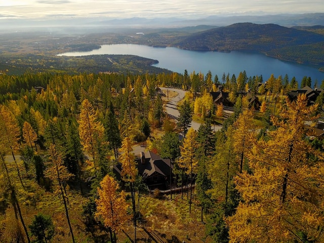 bird's eye view with a water and mountain view