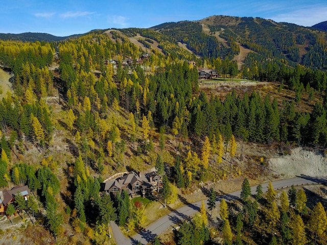 aerial view with a mountain view