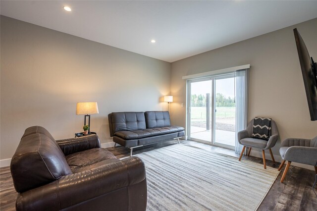 living room featuring dark wood-type flooring