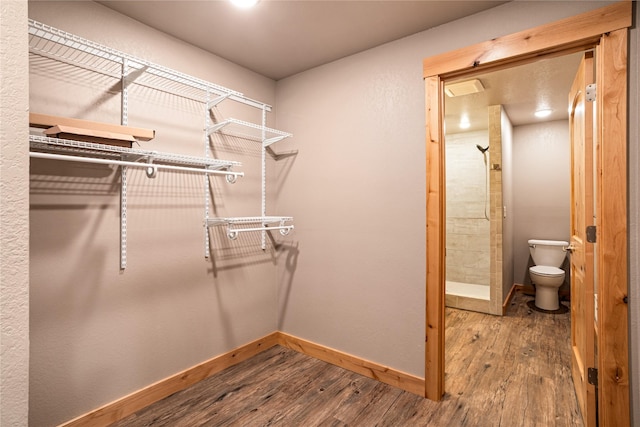 spacious closet with hardwood / wood-style floors