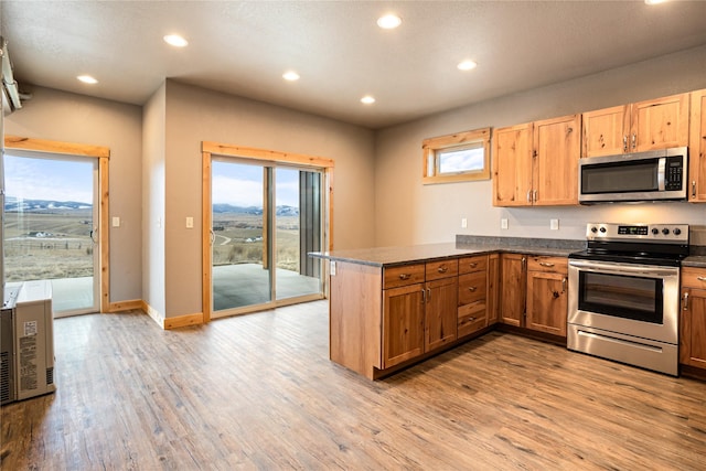 kitchen with kitchen peninsula, stainless steel appliances, and light hardwood / wood-style flooring