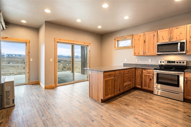 kitchen featuring a peninsula, appliances with stainless steel finishes, light wood finished floors, and recessed lighting