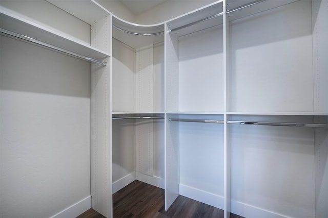 walk in closet featuring dark hardwood / wood-style flooring