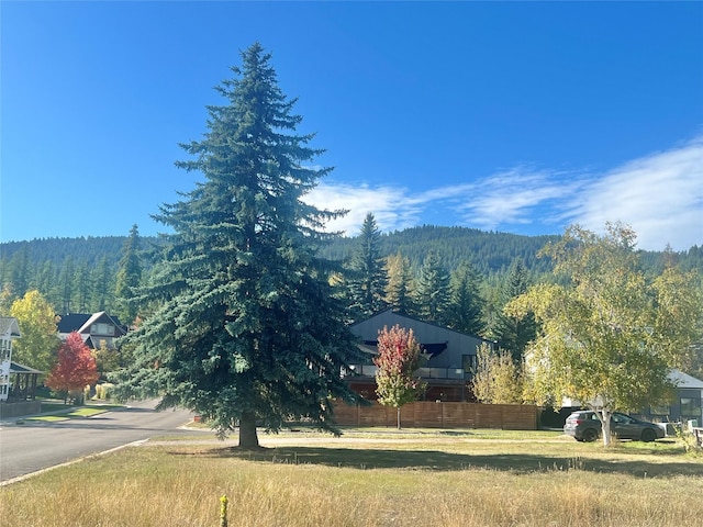 NHN Salmon Run, Whitefish MT, 59937 land for sale